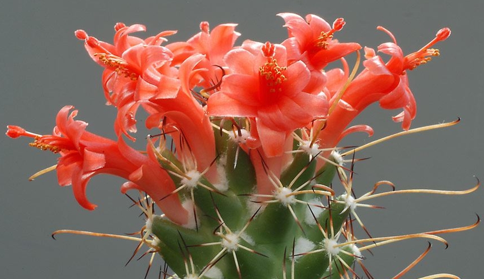 Tips for Better Life.jpg